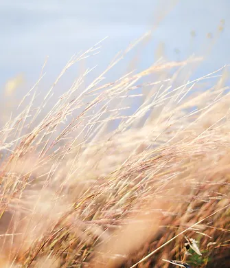 seth-schwiet-qVb-K2mFtDU-unsplash