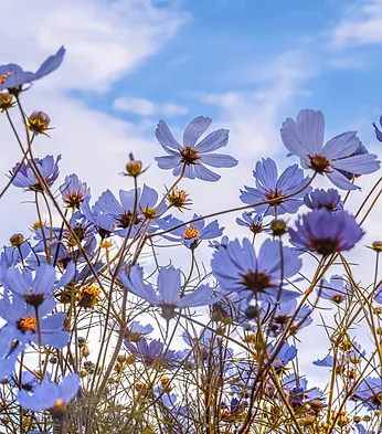 yue-su-Qdqd7Z9CuNE-unsplash